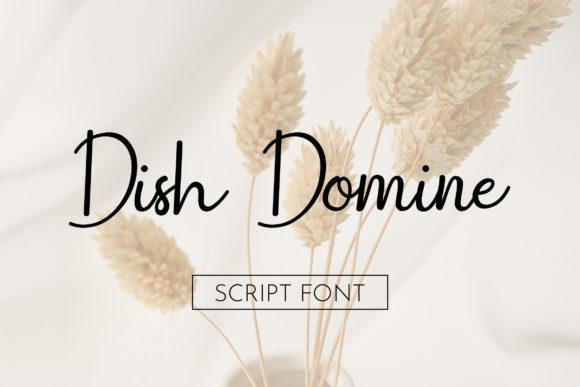Dish Domine: The Modern Script Typeface for Editorial Design