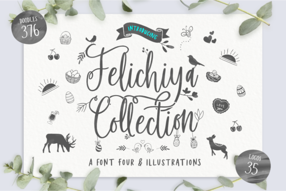 Felichiya Collection: A Versatile Typeface for Editorial Design