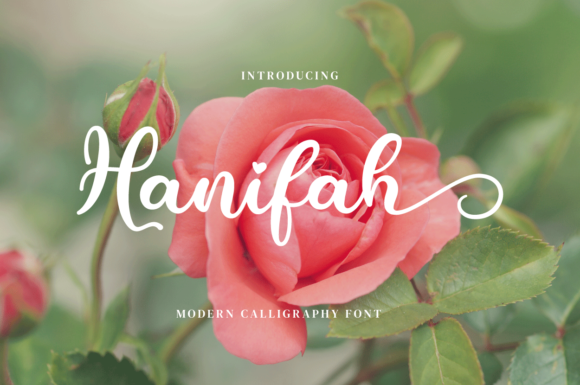 Hanifah: The Modern Script Font for Campaign Clarity